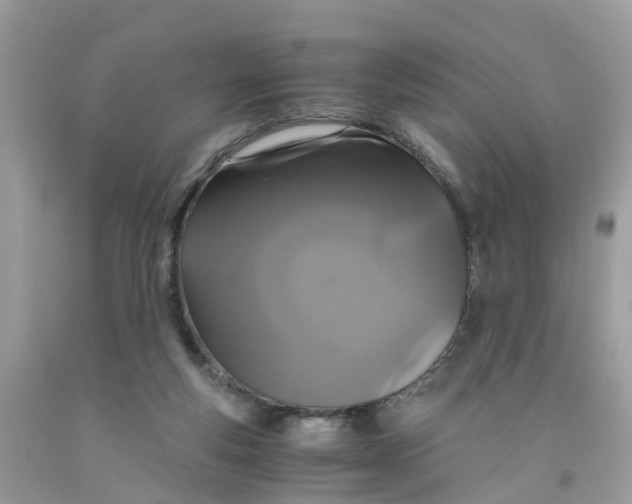 X0000091080163200709041248