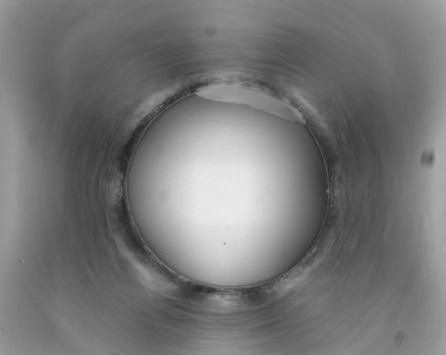 X0000091080164200709041248