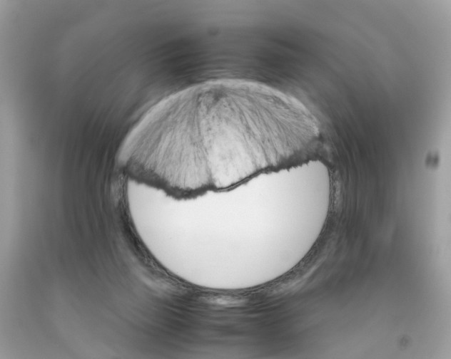 X0000091080165200709041248