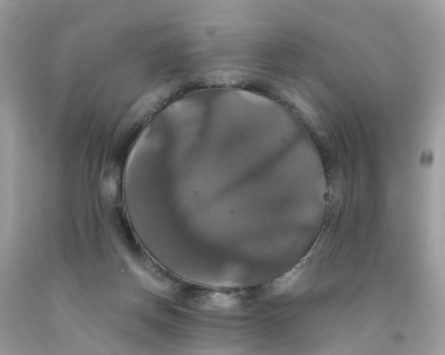 X0000091080166200709041248