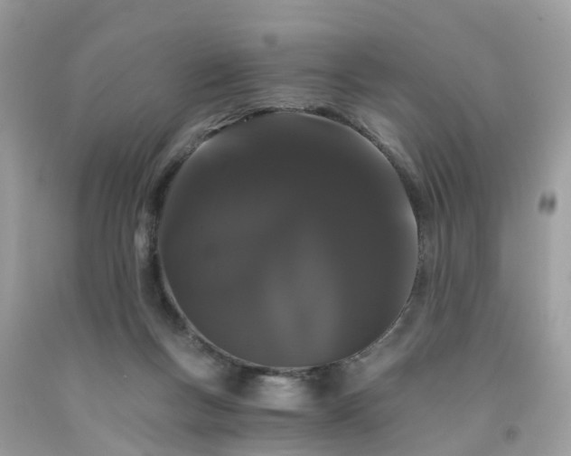 X0000091080167200709041248