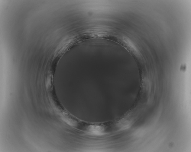 X0000091080169200709041248