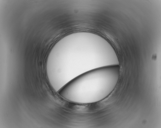 X0000091080170200709041248