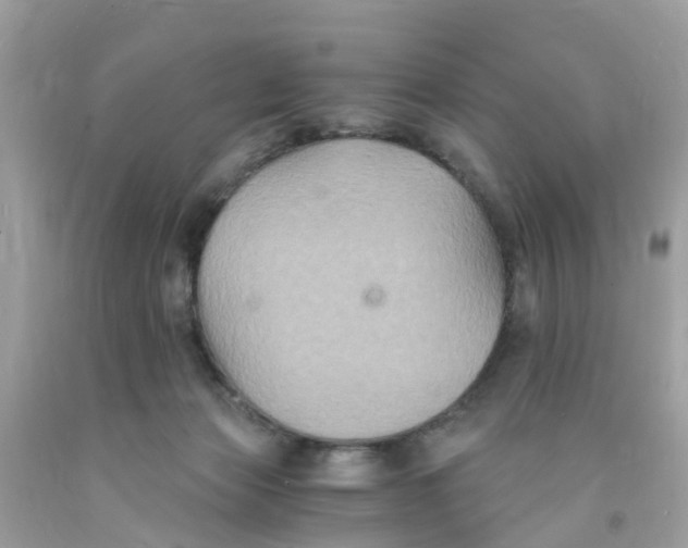 X0000091080173200709041248