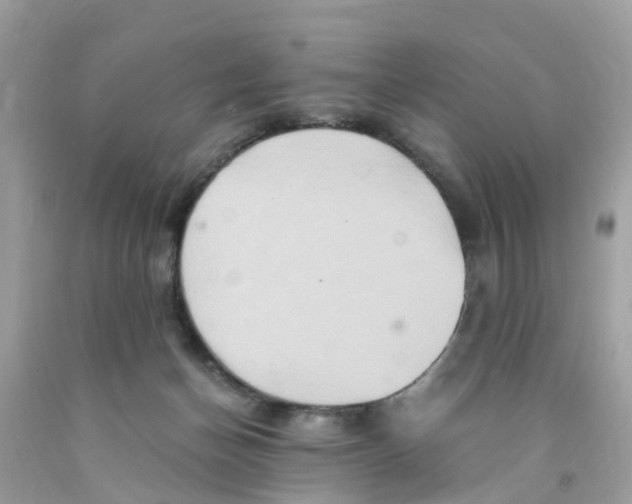 X0000091080174200709041248