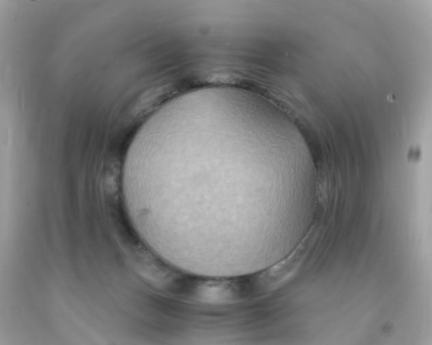 X0000091080175200709041248