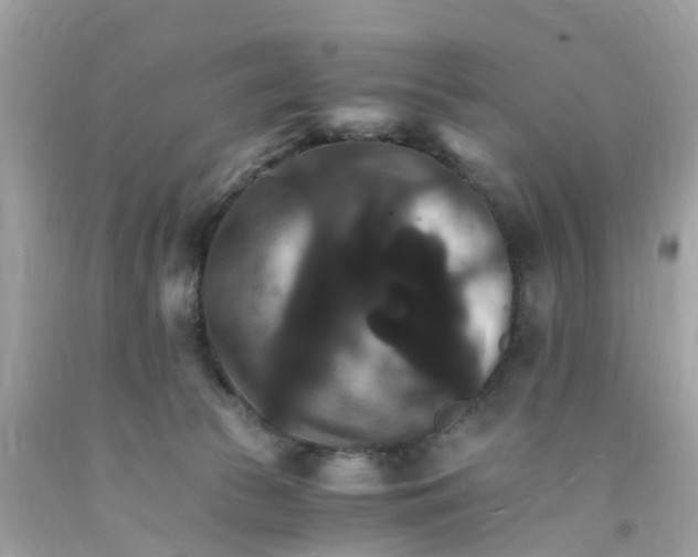 X0000091080177200709041248