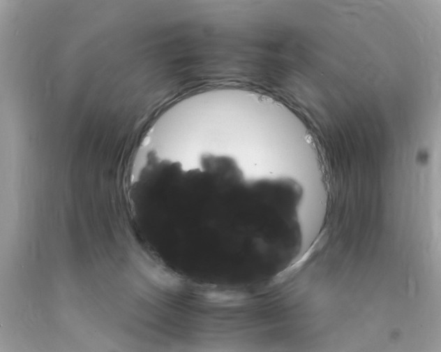 X0000091080179200709041249