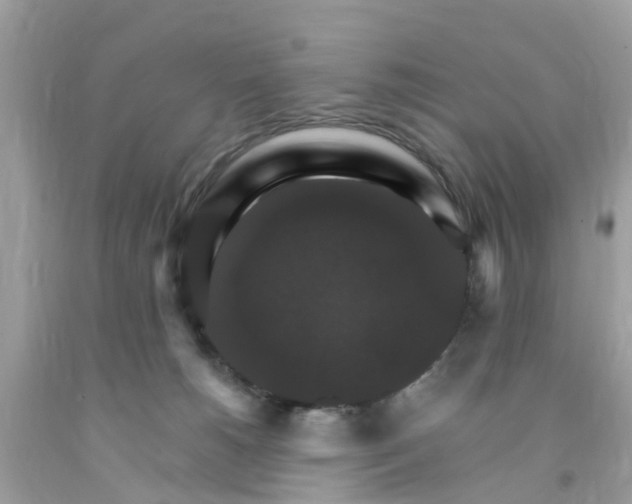 X0000091080180200709041249