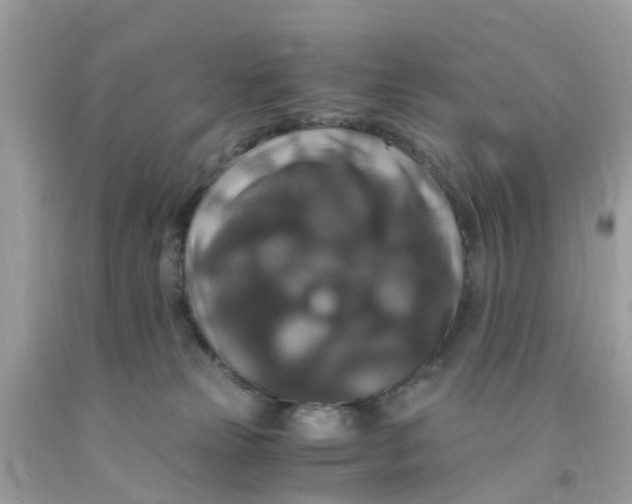 X0000091080181200709041249