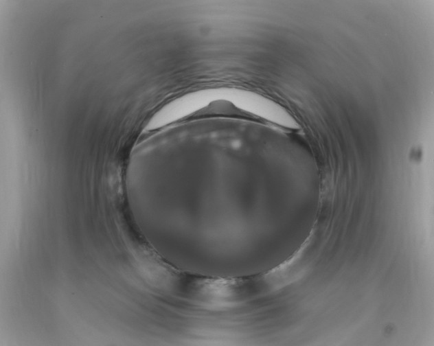 X0000091080182200709041249