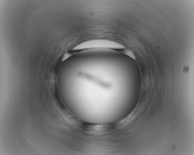 X0000091080184200709041249