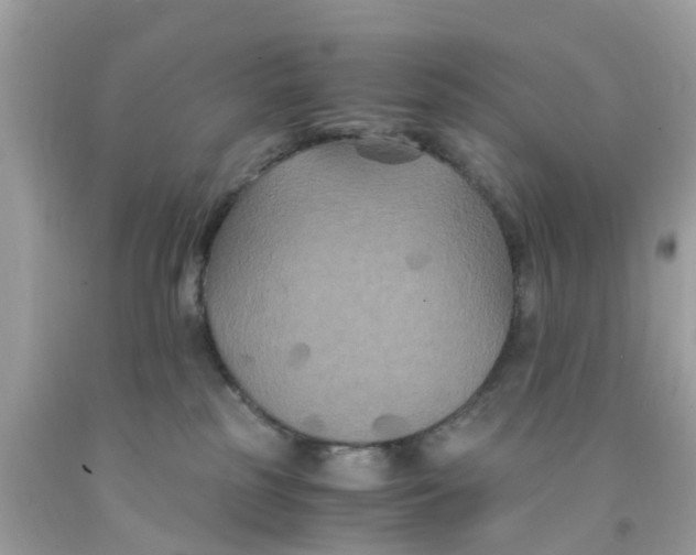 X0000091080185200709041249