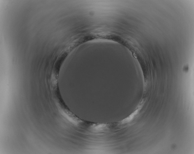 X0000091080186200709041249