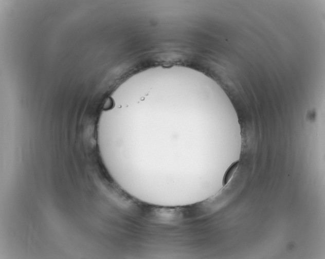 X0000091080187200709041249