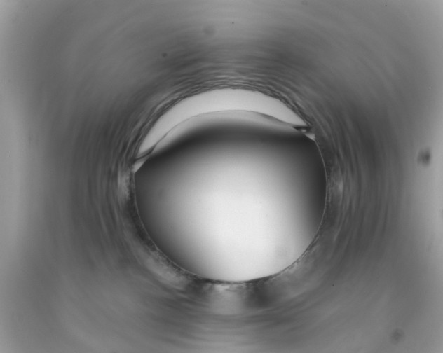 X0000091080188200709041249