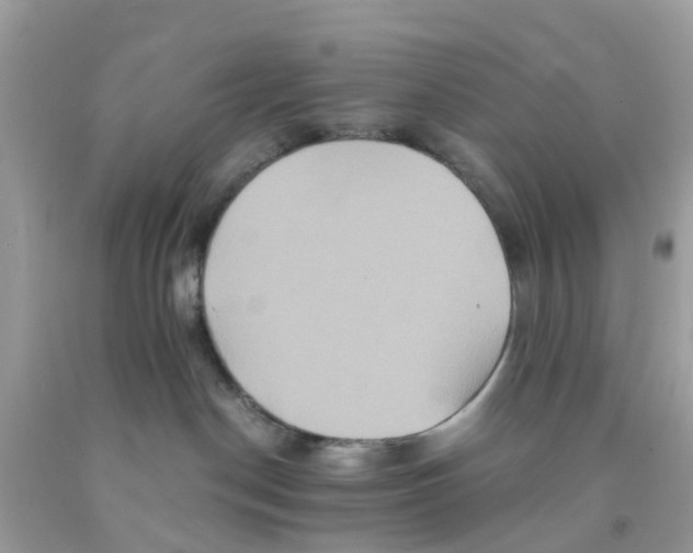 X0000091080190200709041249