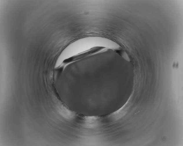 X0000091080192200709041249