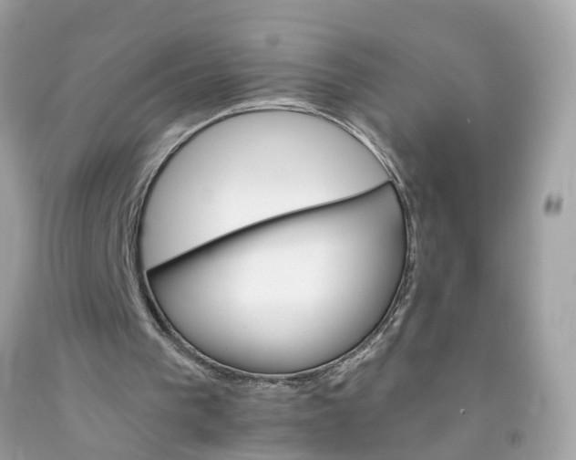 X0000091080193200709041248