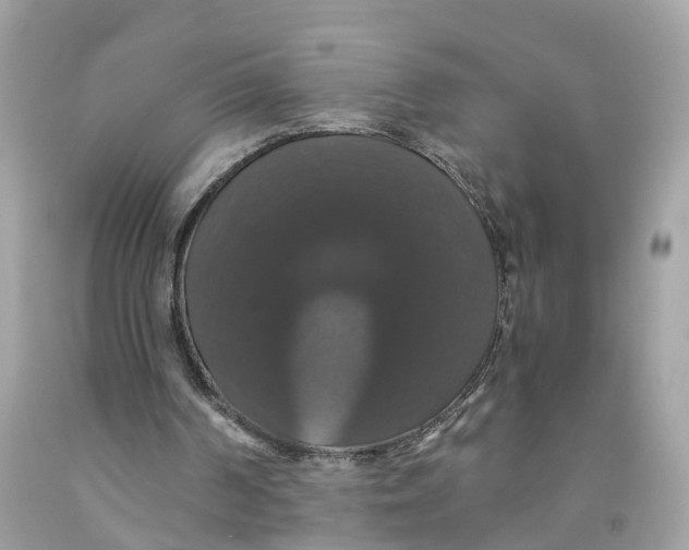 X0000091080194200709041248