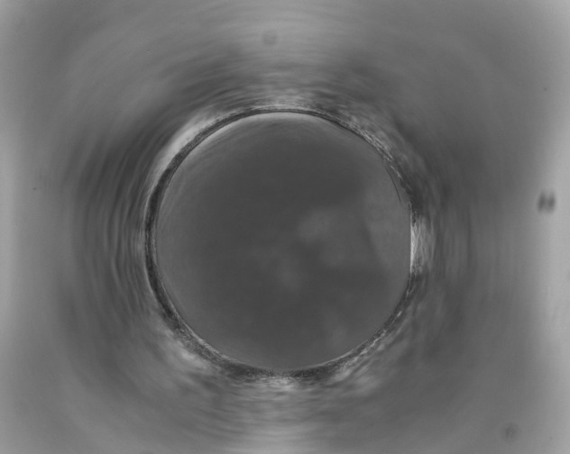 X0000091080195200709041248