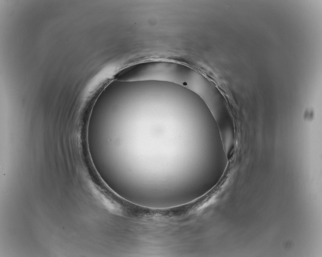 X0000091080197200709041248