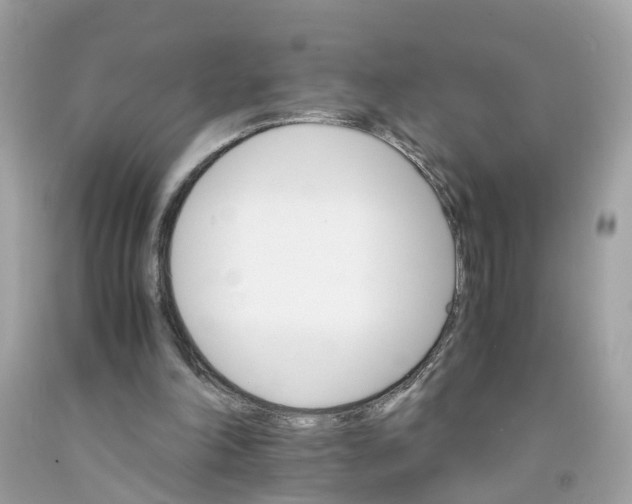 X0000091080198200709041248