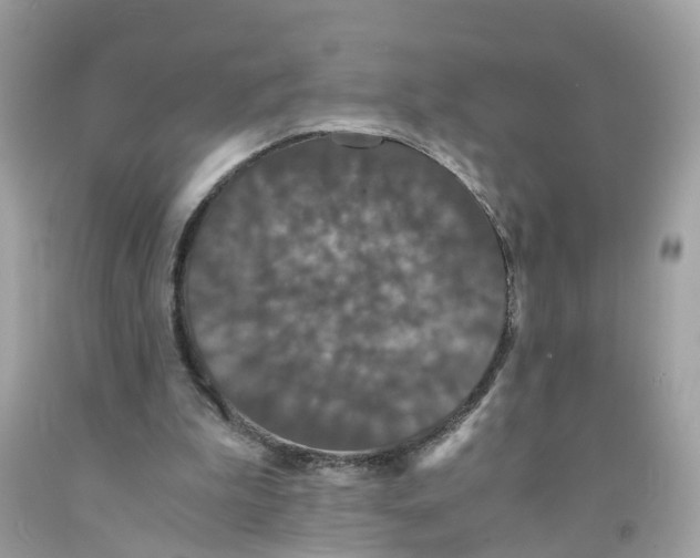 X0000091080199200709041248