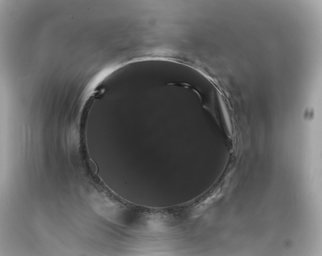 X0000091080200200709041248