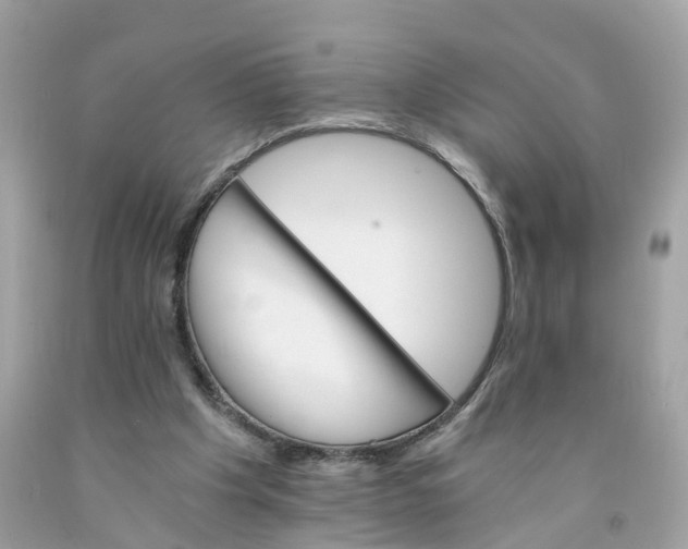 X0000091080201200709041248