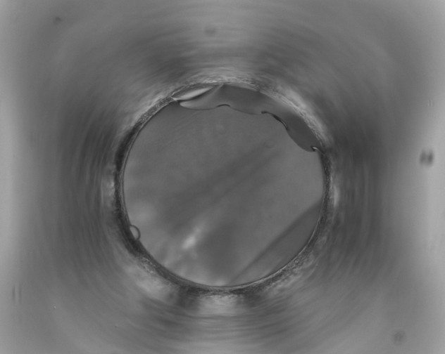 X0000091080202200709041248