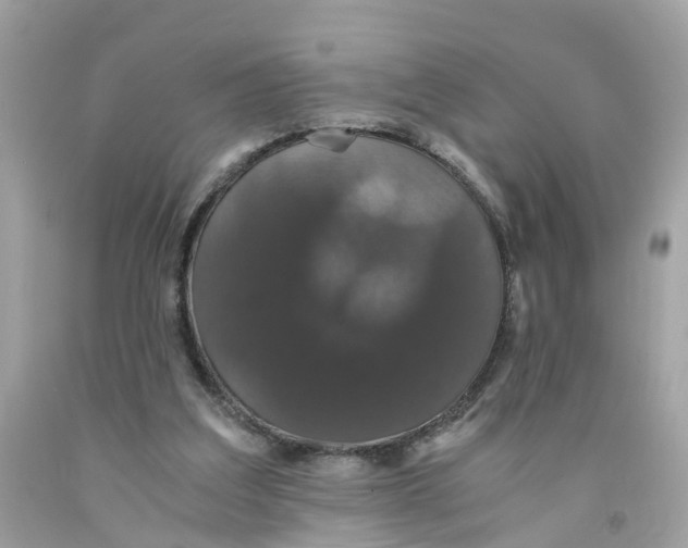 X0000091080203200709041248