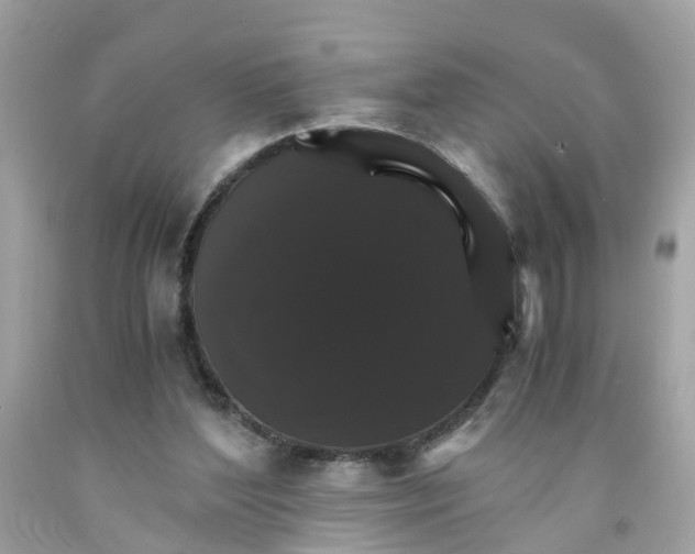 X0000091080204200709041248