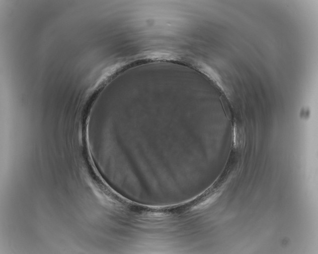 X0000091080205200709041248