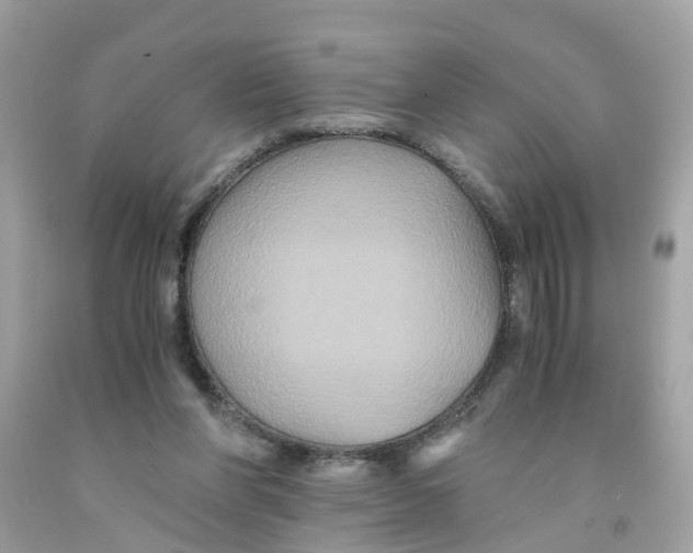 X0000091080206200709041248