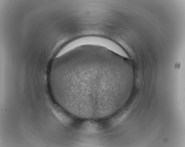 X0000091080207200709041248