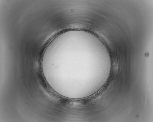 X0000091080208200709041248