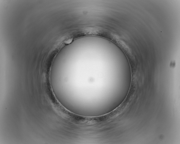 X0000091080209200709041248