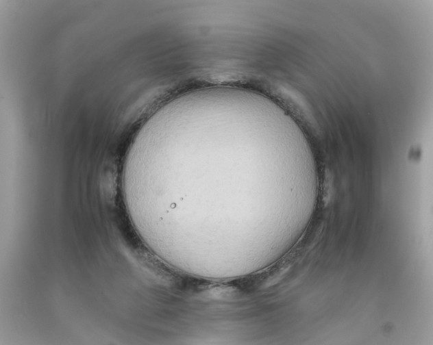 X0000091080210200709041248