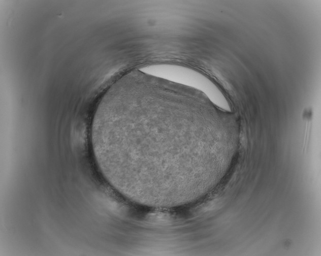 X0000091080211200709041248