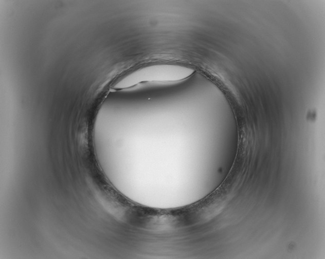 X0000091080212200709041248