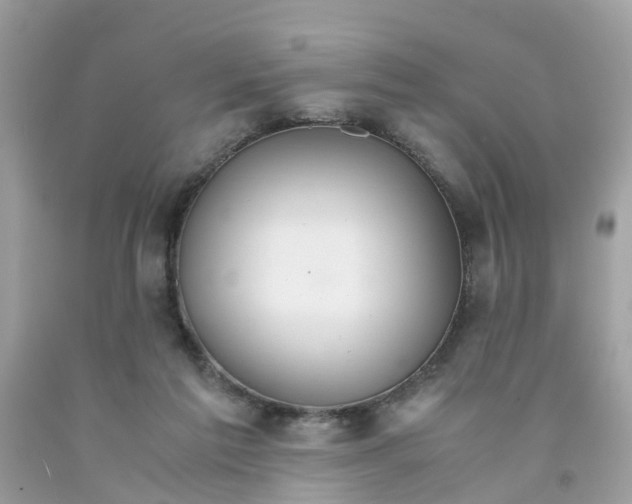 X0000091080213200709041248