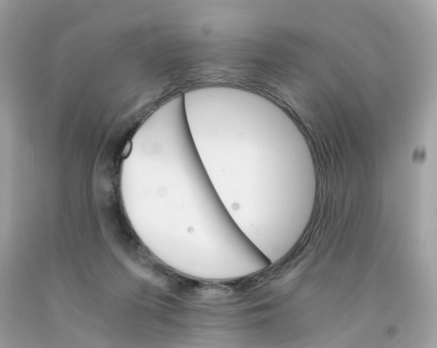 X0000091080215200709041248