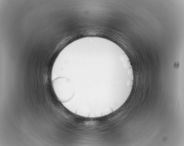 X0000091080216200709041248