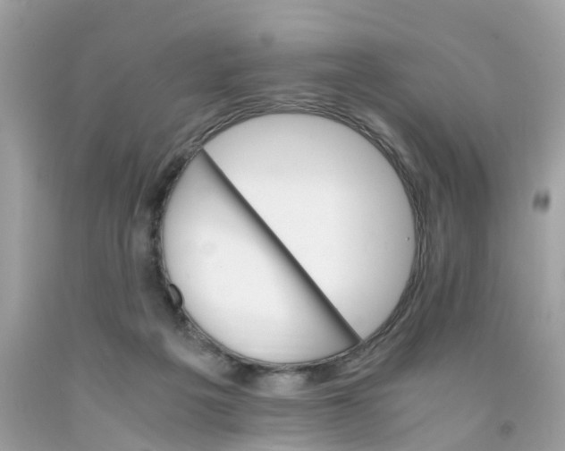 X0000091080217200709041248