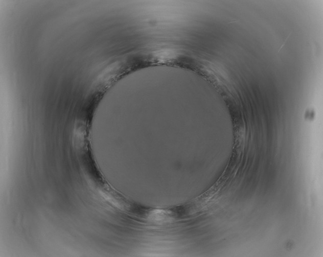 X0000091080222200709041248