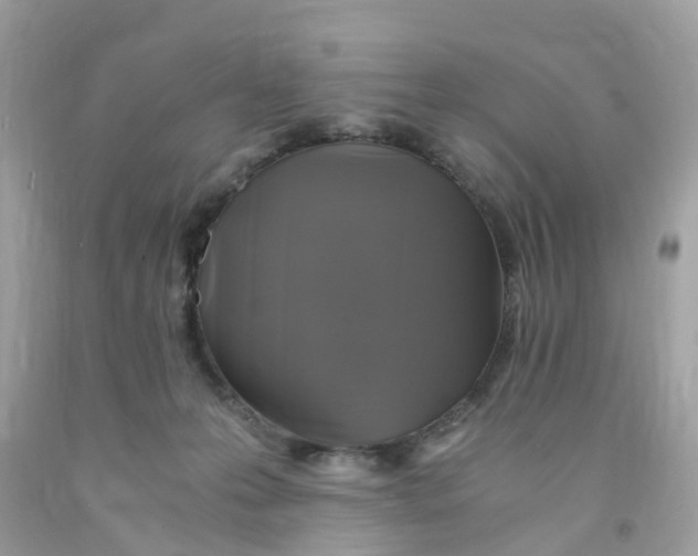 X0000091080223200709041248