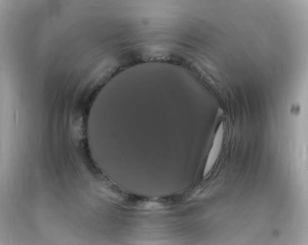 X0000091080224200709041248