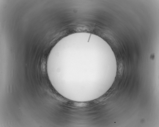 X0000091080226200709041247