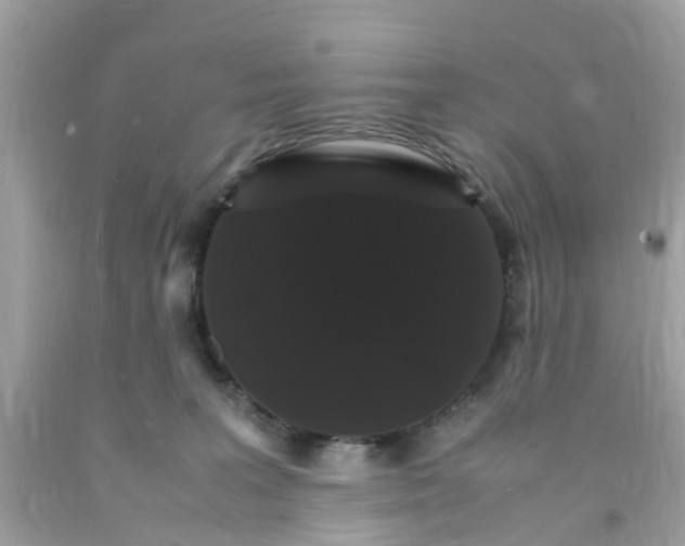 X0000091080227200709041247